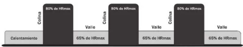 Life Fitness 90C - HEART RATEINTERVAL ^TM (SOL0 93C) - 1