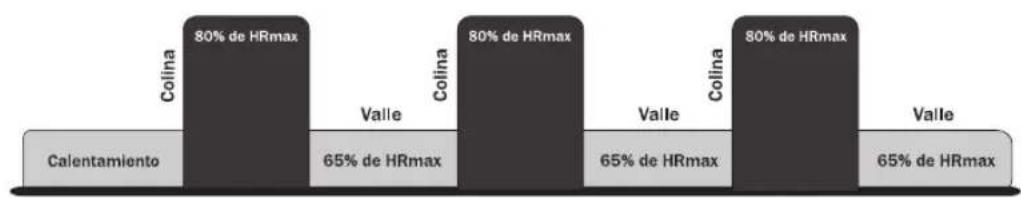 Life Fitness 93C - HEART RATE INTERVAL ^TM (SÓLO 93C) - 1