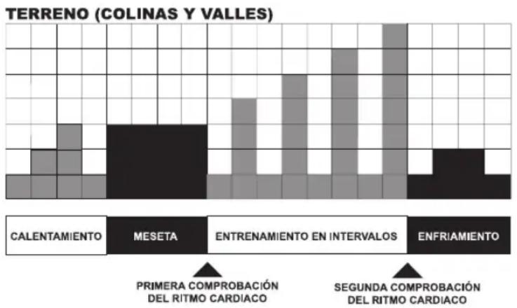 Life Fitness 93C - COLINA - 1