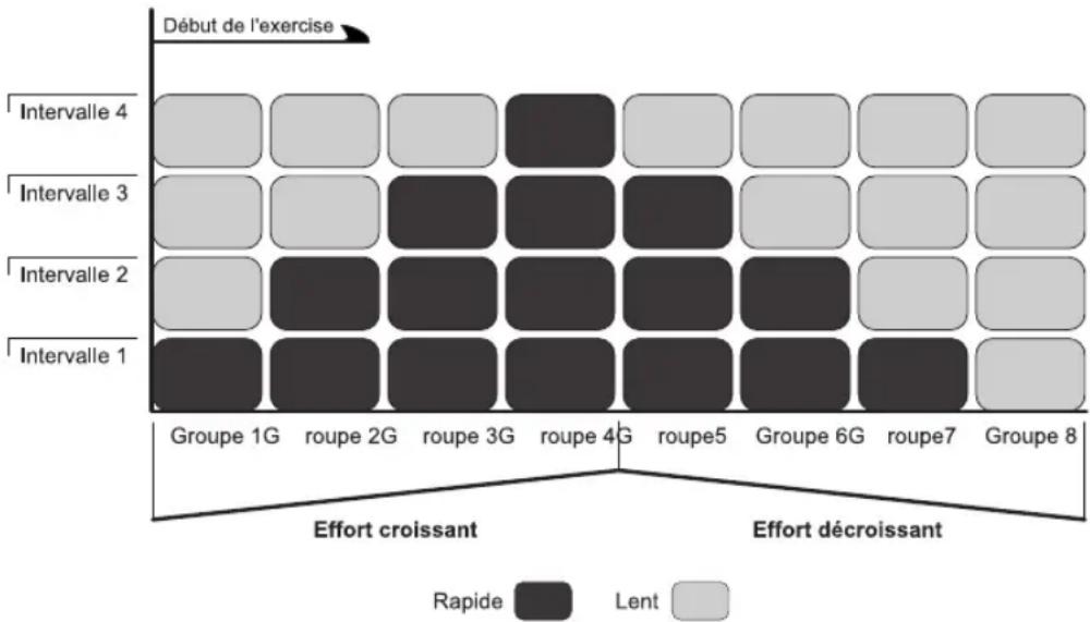 Life Fitness 93C - ENTRAÎNEUR D'AÉROBIC (93C UNIQUEMENT) - 1
