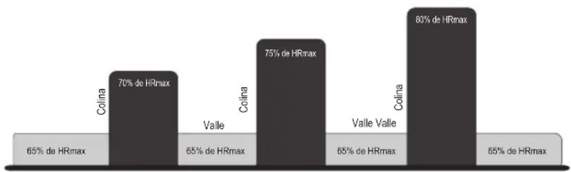 Life Fitness 93C - HEART RATE HILL ^TM (SÓLO 93C) - 1