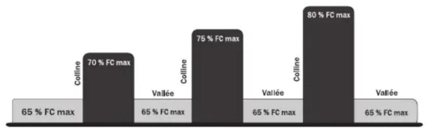 Life Fitness 93C - HEART RATE HILL ™ (COLLINE / FRÉQUENCE CARDIAQUE) (93C UNIQUEMENT) - 1