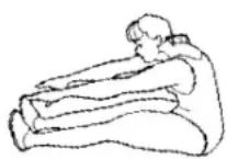 Maxxus CX 3.0 - Jambes, mollets et fessiers - 1