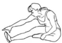 Maxxus CX 3.0 - Adducteurs - 1