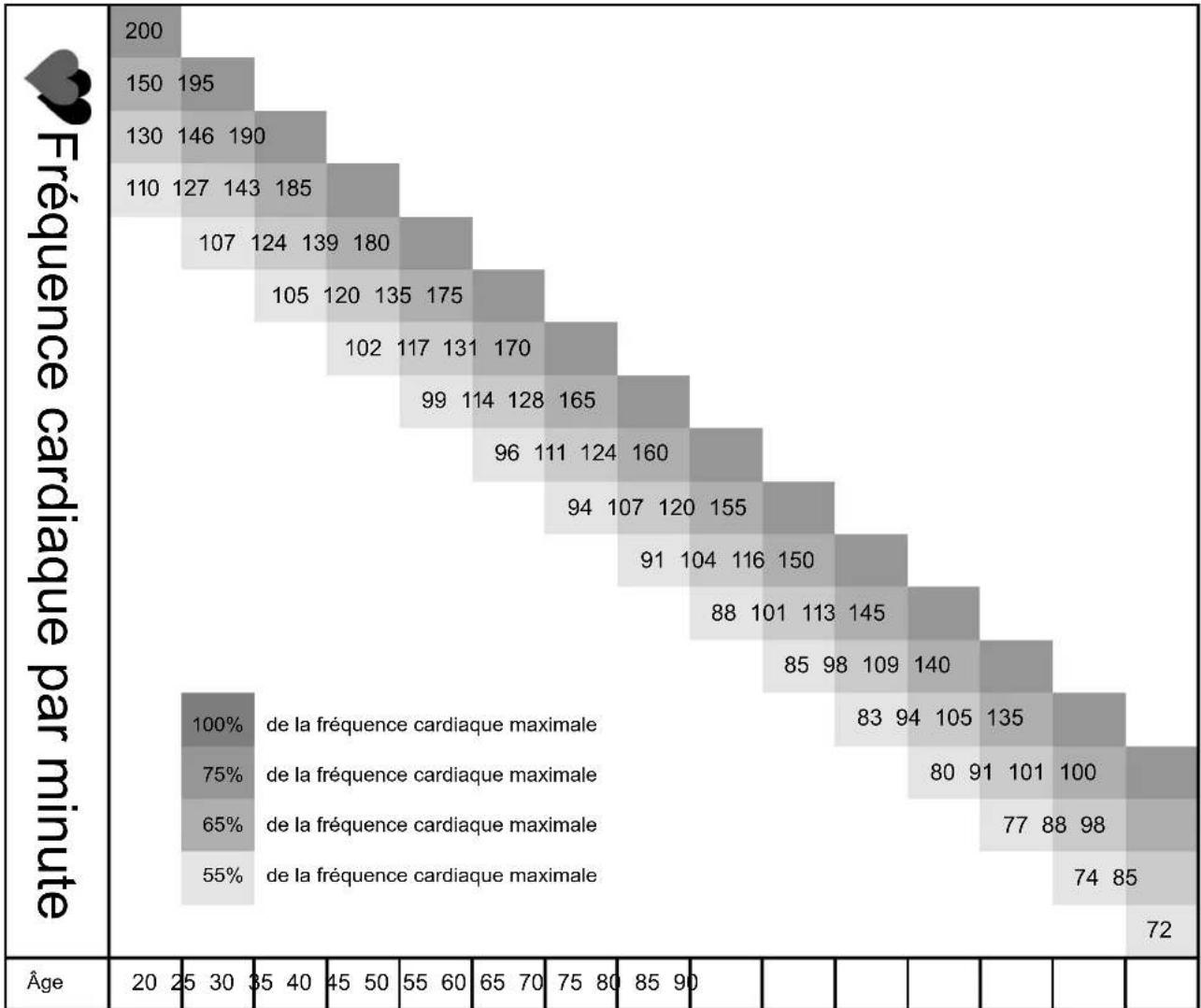 Maxxus CX 3.0 - Etape 5 - 5