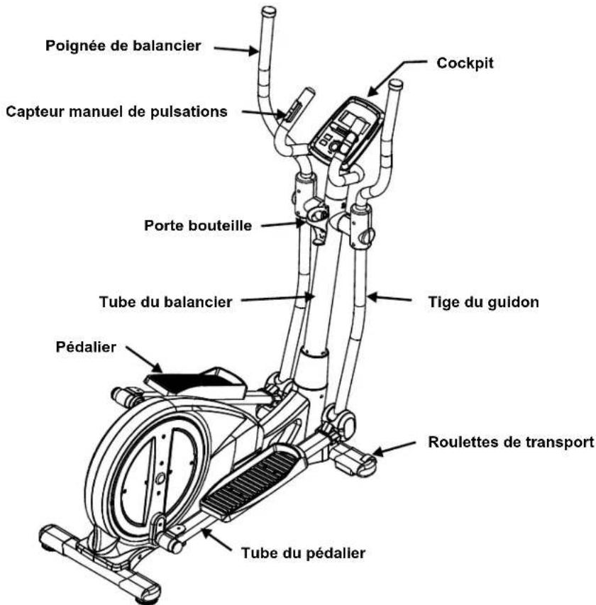 Maxxus CX 3.0 - Consignes de sécurité de la personne lors de l'entrainment - 1
