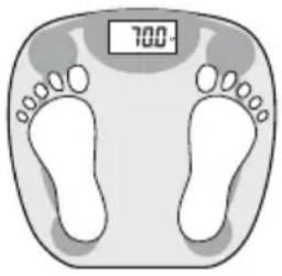 Levita Body Scale 301 - Utilisation - 4