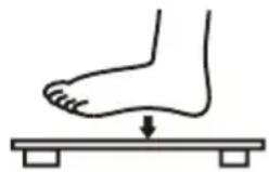 Levita Body Scale 301 - Werking - 1