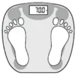Levita Body Scale 301 - Operation - 4