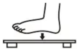 Levita Body Scale 301 - Operation - 2