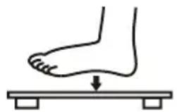 Levita Body Scale 301 - Utilisation - 2