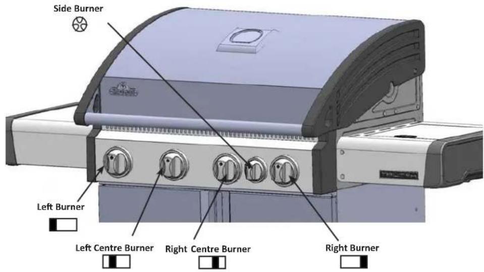 Napoleon Triumph 495SB - Lighting Instructions - 1
