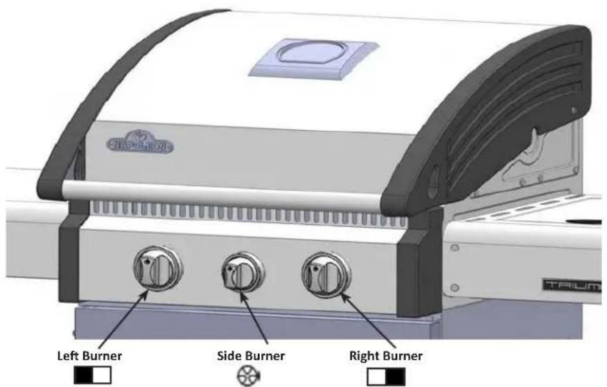 Napoleon Triumph 325 SB - Lighting Instructions - 1