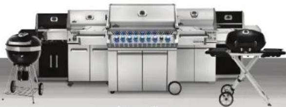 Napoleon PRO 605CSS - Napoleon President's 15 Year Limited Warranty - 2