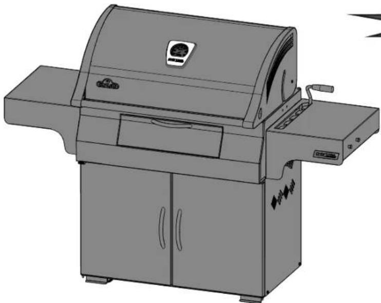 Napoleon PRO 605CSS - NAPOLEON - 2