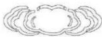 TECHNOLINE WS 6760 - Wettervorhersage Symbole - 3