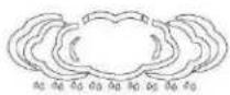 TECHNOLINE WS 6760 - Wettervorhersage Symbole - 4