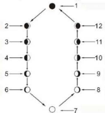 TECHNOLINE WS 6760 - Mondphasenanzeige - 1