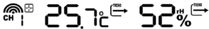 TECHNOLINE WM 5300 - Statické zobrazení: - 1