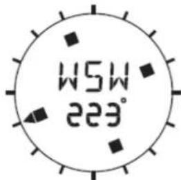 TECHNOLINE EA 3050 - BUSSOLA - 1