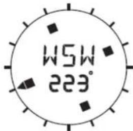 TECHNOLINE EA 3050 - COMPASS - 1