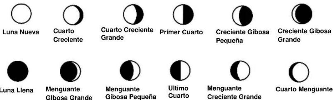 TECHNOLINE WS 8118 - SIMBOLOS DE LAS FASES DE LA LUNA - 1