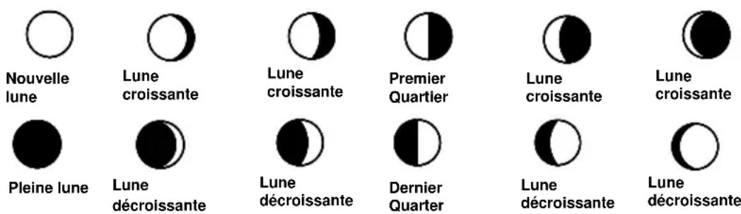 TECHNOLINE WS 8118 - SYMBOLES DES PHASES DE LA LUNE - 1
