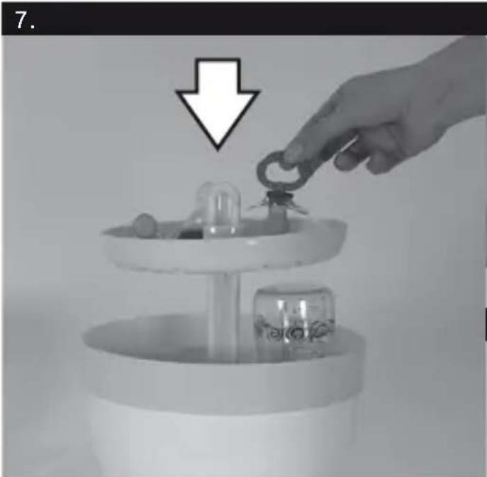 Hartig & Helling BS 29 - 7