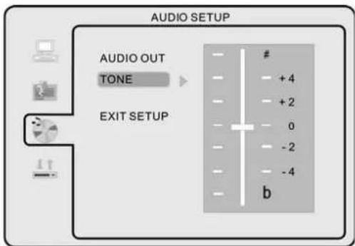MT Logic TFDVD2320HD - Audio Setup - 2