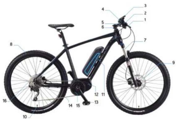 WAYSCRAL Sporty 755 - 2) Garantia Aplicada - 1