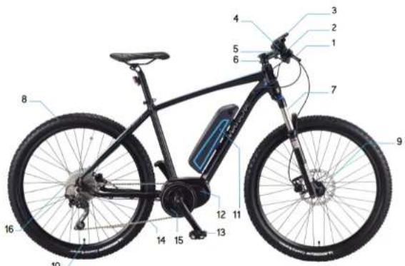 WAYSCRAL Sporty 755 - Engrasado - 1