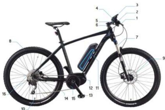 WAYSCRAL Sporty 755 - od daty zakupu wynosi : - 2