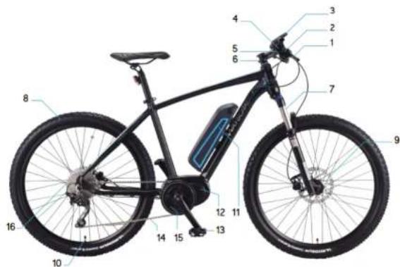 WAYSCRAL Sporty 755 - 1) Piesele de schimb - 2