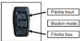 WAYSCRAL Sporty 555 - Assistenza alla pedalata - 1