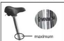 WAYSCRAL Sporty 555 - Sillin - 2