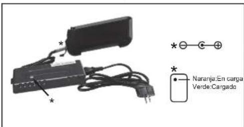 WAYSCRAL Sporty 555 - 1