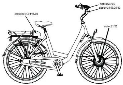 WAYSCRAL Sporty 455 - CeuHuebeiaaKkyMnymnpbI - 1