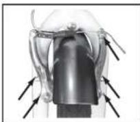 WAYSCRAL Sporty 455 - Freni V-brake - 2