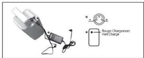 WAYSCRAL Sporty 455 - 2) Batterie - 7