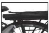 WAYSCRAL Sporty 455 - 2) Bacteria - 1