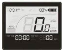 WAYSCRAL Dandy 26 - Information display - 2