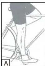 WAYSCRAL Dandy 26 - 2) ADJUSTING THE SEAT AND THE HANDLEBARS - 1