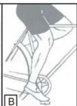 WAYSCRAL Dandy 26 - 2) ADJUSTING THE SEAT AND THE HANDLEBARS - 2