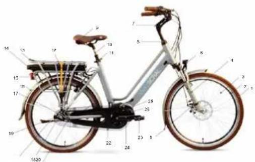 WAYSCRAL Dandy 24 - Baterilie cu litiu - 1