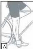 WAYSCRAL Flexy 215 - Sillin - 1