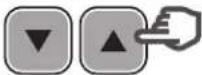 HAYWARD TriStar VST - Programación del modo Timer - 9