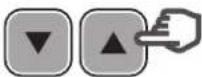 HAYWARD TriStar VST - Programmazione della modalità Timer - 9