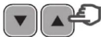 HAYWARD TriStar VST - In Manual mode: selecting, setting and saving a custom speed - 5