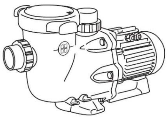 HAYWARD Max Flo XL - F) Die Pumpe ist sehr laut, sicherstellen. - 1