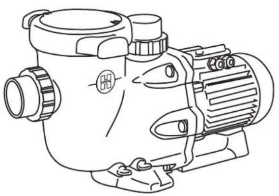 HAYWARD Max Flo XL - F) Pompe bruyante, vérifier - 1